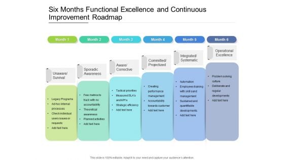 Six Months Functional Excellence And Continuous Improvement Roadmap Summary