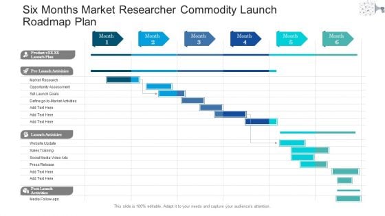 Six Months Market Researcher Commodity Launch Roadmap Plan Mockup Six Months Market Researcher Commodity Launch Roadmap Plan Mockup