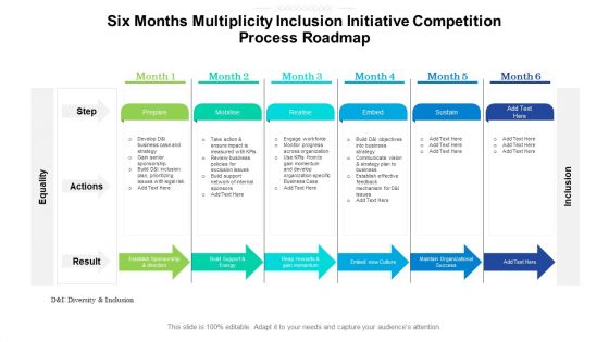 Six Months Multiplicity Inclusion Initiative Competition Process Roadmap Template