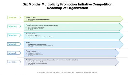 Six Months Multiplicity Promotion Initiative Competition Roadmap Of Organization Microsoft