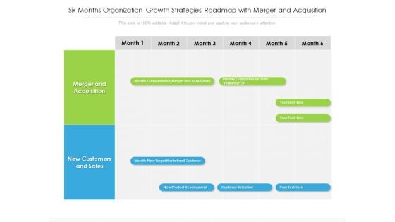 Six Months Organization Growth Strategies Roadmap With Merger And Acquisition Themes