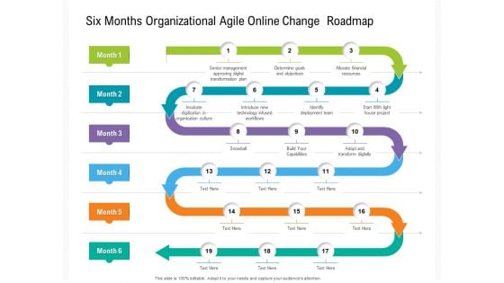 Six Months Organizational Agile Online Change Roadmap Background