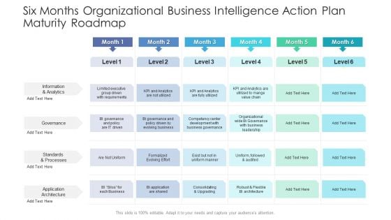 Six Months Organizational Business Intelligence Action Plan Maturity Roadmap Summary