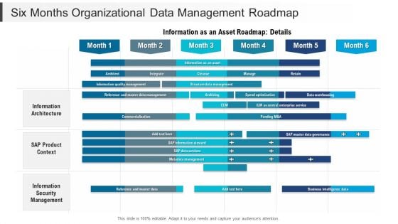 Six Months Organizational Data Management Roadmap Ideas