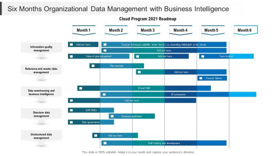 Six Months Organizational Data Management With Business Intelligence Mockup