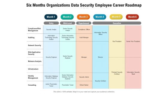 Six Months Organizations Data Security Employee Career Roadmap Ideas