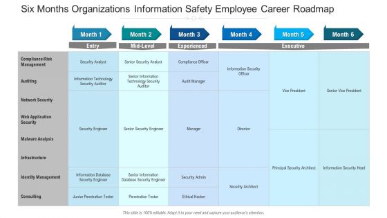 Six Months Organizations Information Safety Employee Career Roadmap Template