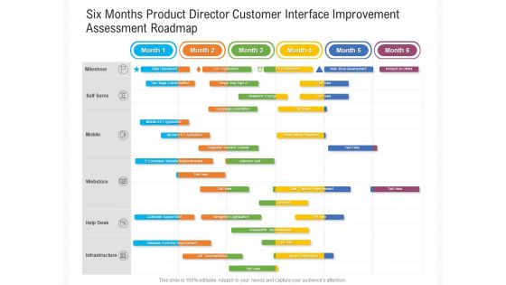 Six Months Product Director Customer Interface Improvement Assessment Roadmap Guidelines