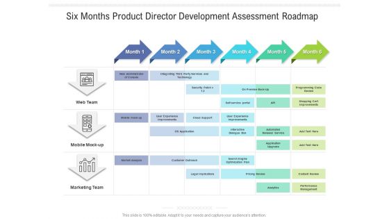 Six Months Product Director Development Assessment Roadmap Designs