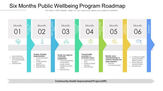 Six Months Public Wellbeing Program Roadmap Demonstration