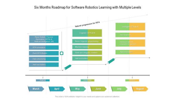 Six Months Roadmap For Software Robotics Learning With Multiple Levels Summary