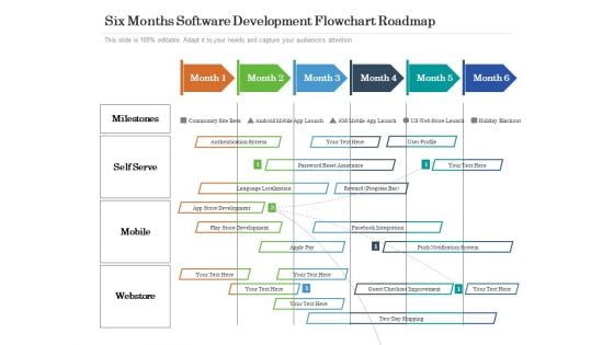 Six Months Software Development Flowchart Roadmap Summary