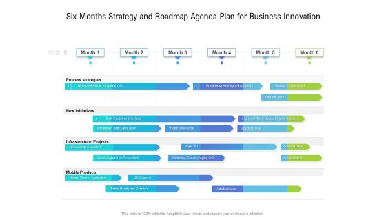 Six Months Strategy And Roadmap Agenda Plan For Business Innovation Guidelines