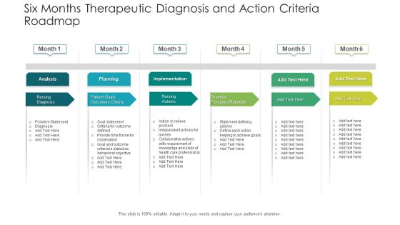 Six Months Therapeutic Diagnosis And Action Criteria Roadmap Sample