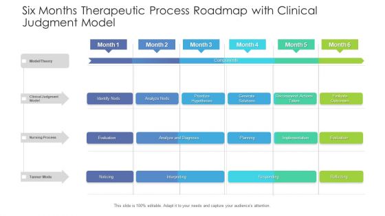 Six Months Therapeutic Process Roadmap With Clinical Judgment Model Icons