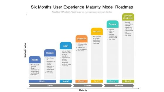 Six Months User Experience Maturity Model Roadmap Formats