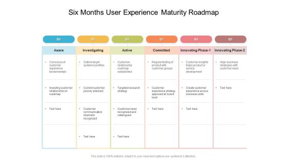 Six Months User Experience Maturity Roadmap Sample