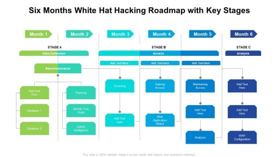 Six Months White Hat Hacking Roadmap With Key Stages Infographics