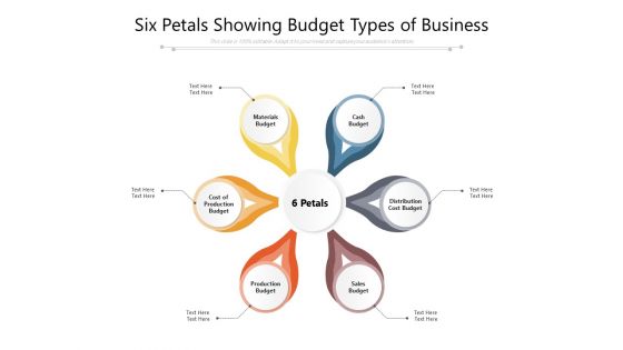 Six Petals Showing Budget Types Of Business Ppt PowerPoint Presentation Ideas Graphics PDF