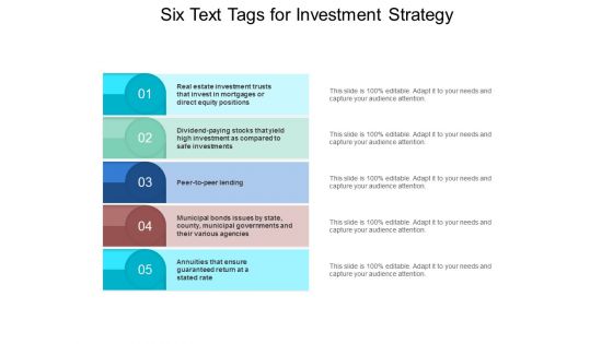 Six Text Tags For Investment Strategy Ppt PowerPoint Presentation File Example