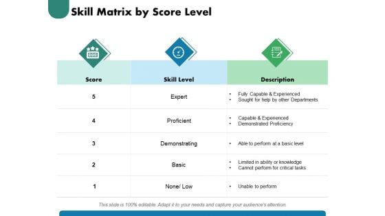 Skill Matrix By Score Level Ppt PowerPoint Presentation Model Portfolio