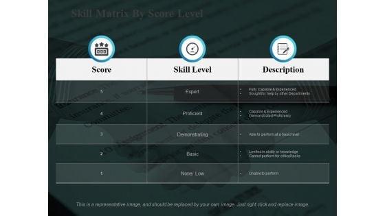 Skill Matrix By Score Level Ppt PowerPoint Presentation Themes