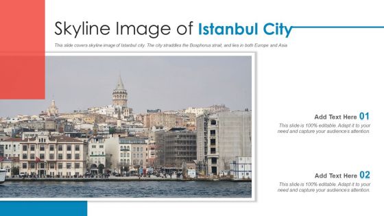Skyline Image Of Istanbul City PowerPoint Presentation PPT Template PDF