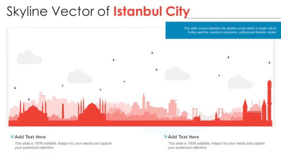 Skyline Vector Of Istanbul City PowerPoint Presentation PPT Template PDF