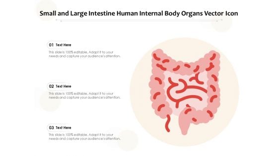 Small And Large Intestine Human Internal Body Organs Vector Icon Ppt PowerPoint Presentation Styles Show PDF