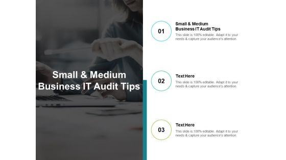 Small And Medium Business IT Audit Tips Ppt PowerPoint Presentation Show Cpb