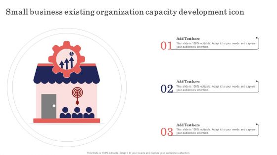 Small Business Existing Organization Capacity Development Icon Microsoft PDF