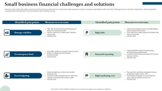 Small Business Financial Challenges And Solutions Graphics PDF