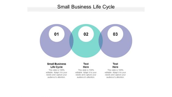 Small Business Life Cycle Ppt PowerPoint Presentation Summary Professional Cpb