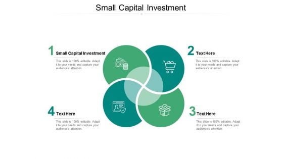 Small Capital Investment Ppt PowerPoint Presentation Visual Aids Infographic Template Cpb