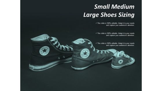 Small Medium Large Shoes Sizing Ppt Powerpoint Presentation Infographic Template Show