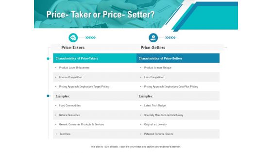 Smart Software Pricing Strategies Price Taker Or Price Setter Ppt Portfolio Slide Download PDF