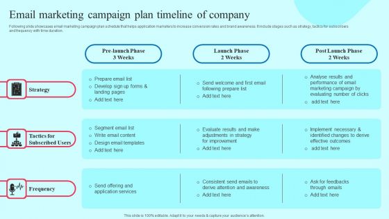 Smartphone Application User Acquisition Techniques Email Marketing Campaign Plan Timeline Of Company Information PDF