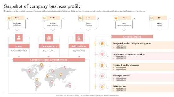 Snapshot Of Company Business Profile Themes PDF