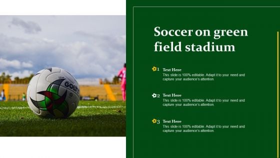 Soccer On Green Field Stadium Ppt PowerPoint Presentation Gallery Display PDF