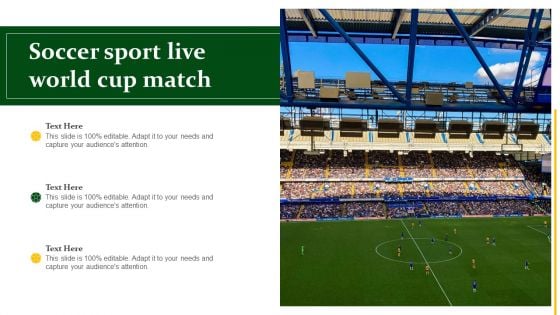 Soccer Sport Live World Cup Match Ppt PowerPoint Presentation Gallery Guidelines PDF