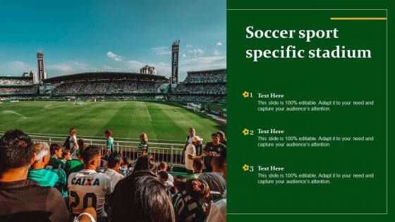 Soccer Sport Specific Stadium Ppt PowerPoint Presentation Gallery Format Ideas PDF