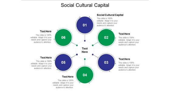 Social Cultural Capital Ppt PowerPoint Presentation Professional Layout Cpb