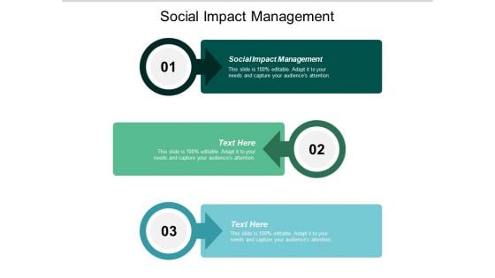 Social Impact Management Ppt PowerPoint Presentation Infographics Format Ideas Cpb