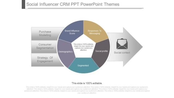 Social Influencer Crm Ppt Powerpoint Themes