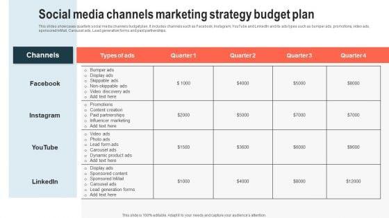 Social Media Channels Marketing Strategy Budget Plan Slides PDF