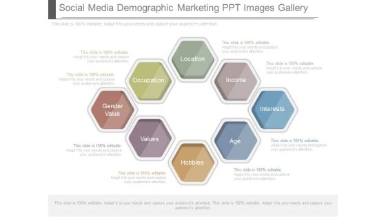 Social Media Demographic Marketing Ppt Images Gallery