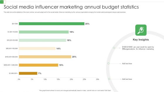 Social Media Influencer Marketing Annual Budget Statistics Ppt PowerPoint Presentation File Professional PDF