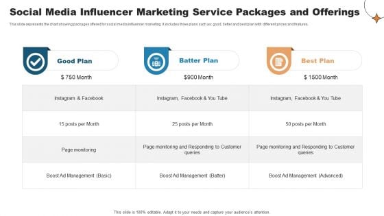 Social Media Influencer Marketing Service Packages And Offerings Graphics PDF