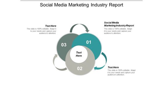 Social Media Marketing Industry Report Ppt PowerPoint Presentation Professional Example Cpb