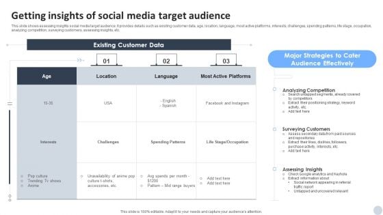 Social Media Marketing Strategies To Generate Lead Getting Insights Of Social Media Target Audience Microsoft PDF